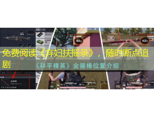 免費(fèi)閱讀《棄婦扶搖錄》，隨時斷點(diǎn)追劇