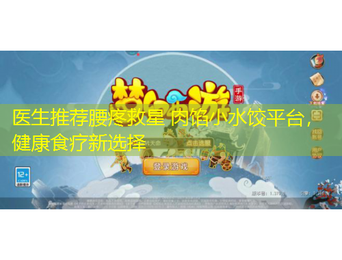 醫(yī)生推薦腰疼救星 肉餡小水餃平臺，健康食療新選擇