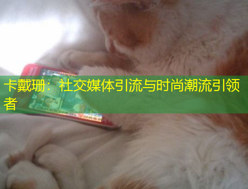 卡戴珊：社交媒體引流與時尚潮流引領(lǐng)者