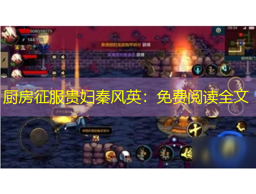 廚房征服貴婦秦風英：免費閱讀全文