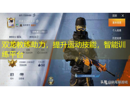 雙龍教練助力，提升運(yùn)動(dòng)技能，智能訓(xùn)練平臺(tái)