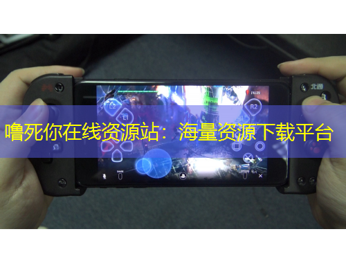 嚕死你在線資源站：海量資源下載平臺(tái)