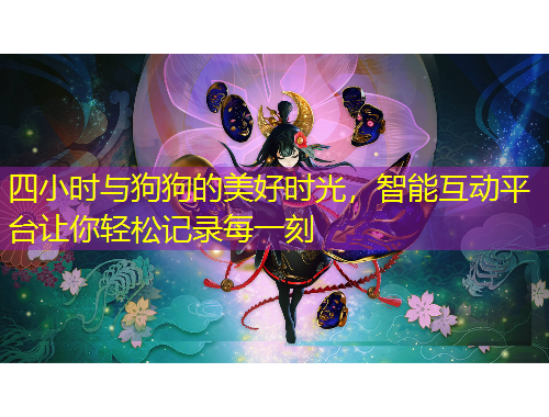 四小時與狗狗的美好時光，智能互動平臺讓你輕松記錄每一刻