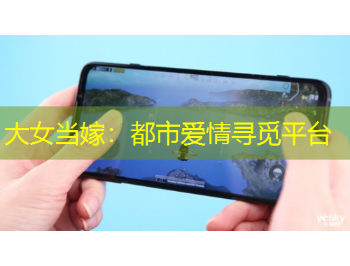 大女當(dāng)嫁：都市愛情尋覓平臺