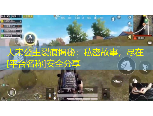 大宋公主裂痕揭秘：私密故事，盡在[平臺名稱]安全分享
