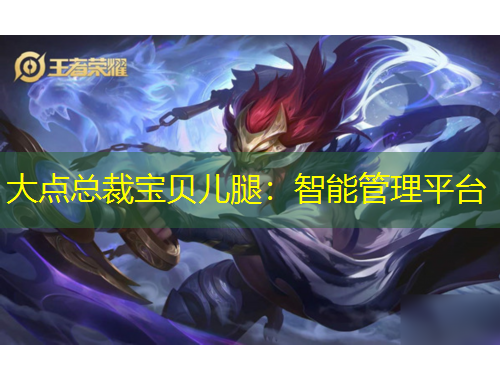 大點(diǎn)總裁寶貝兒腿：智能管理平臺(tái)