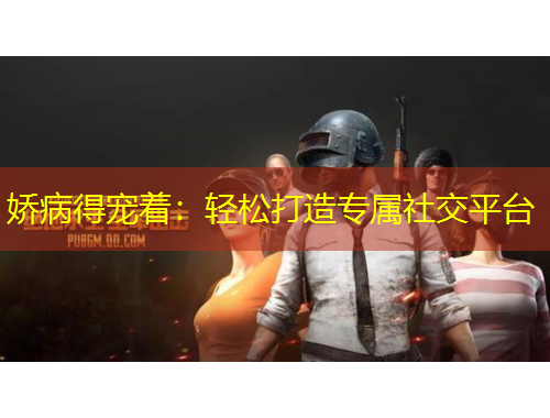 嬌病得寵著：輕松打造專屬社交平臺(tái)