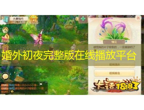 婚外初夜完整版在線播放平臺