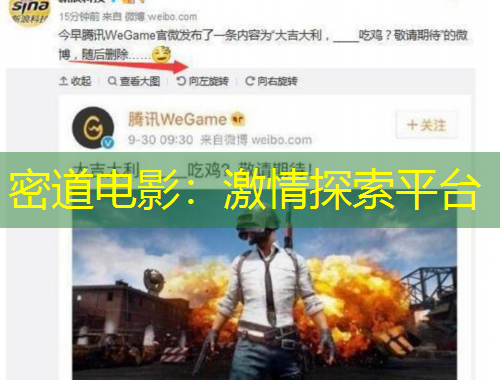 密道電影：激情探索平臺(tái)