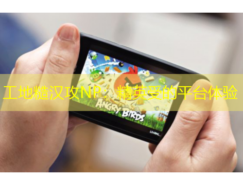 工地糙漢攻NP：精英受的平臺體驗