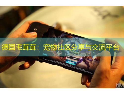 德國(guó)毛茸茸：寵物社區(qū)分享與交流平臺(tái)