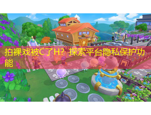 拍裸戲被C了H？探索平臺(tái)隱私保護(hù)功能