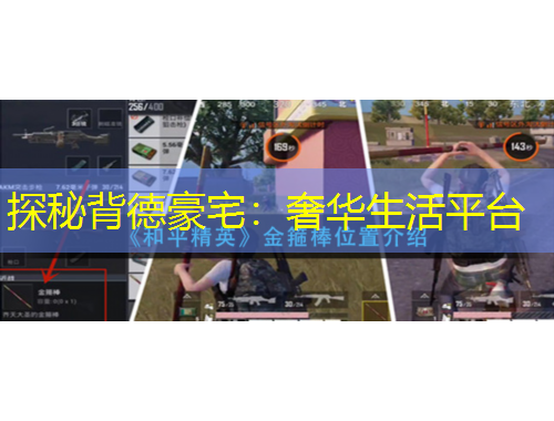 探秘背德豪宅：奢華生活平臺