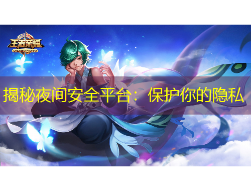 揭秘夜間安全平臺(tái)：保護(hù)你的隱私