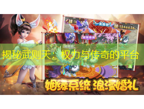 揭秘武則天：權(quán)力與傳奇的平臺