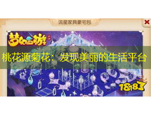 桃花源菊花：發(fā)現(xiàn)美麗的生活平臺