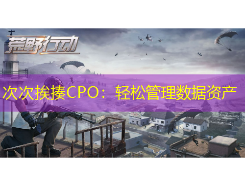 次次挨揍CPO：輕松管理數據資產