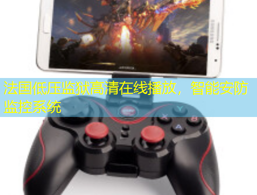 法國低壓監(jiān)獄高清在線播放，智能安防監(jiān)控系統(tǒng)