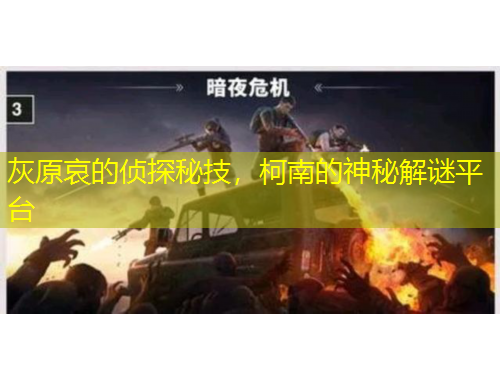 灰原哀的偵探秘技，柯南的神秘解謎平臺