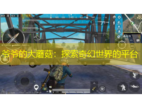 爺爺?shù)拇竽⒐剑禾剿髌婊檬澜绲钠脚_(tái)