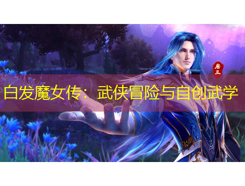 白發(fā)魔女傳：武俠冒險(xiǎn)與自創(chuàng)武學(xué)