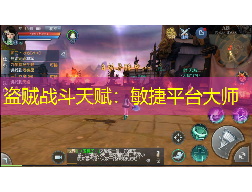 盜賊戰(zhàn)斗天賦：敏捷平臺大師