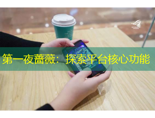 第一夜薔薇：探索平臺核心功能