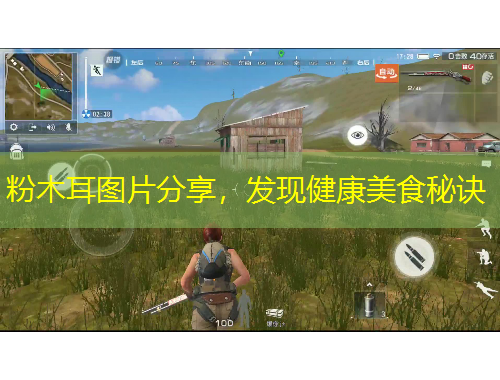 粉木耳圖片分享，發(fā)現健康美食秘訣