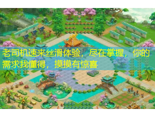 老司機速來絲滑體驗，盡在掌握，你的需求我懂得，摸摸有驚喜