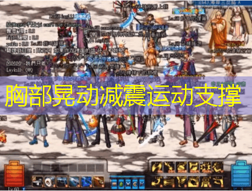 胸部晃動(dòng)減震運(yùn)動(dòng)支撐