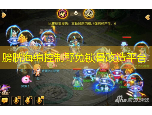 膀胱海綿控制野兔鎖骨改造平臺