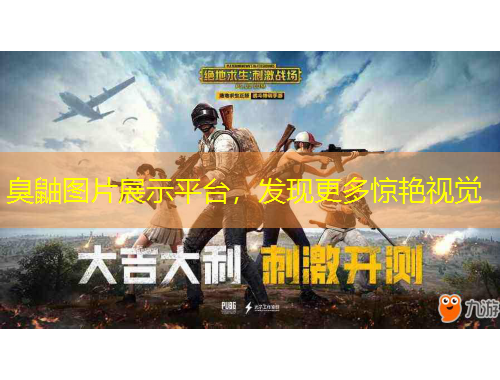 臭鼬圖片展示平臺，發(fā)現(xiàn)更多驚艷視覺