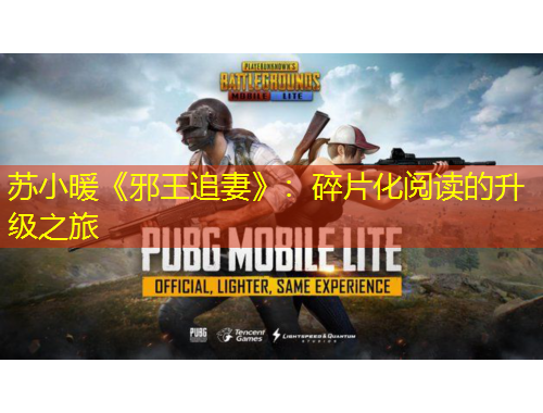 蘇小暖《邪王追妻》：碎片化閱讀的升級(jí)之旅