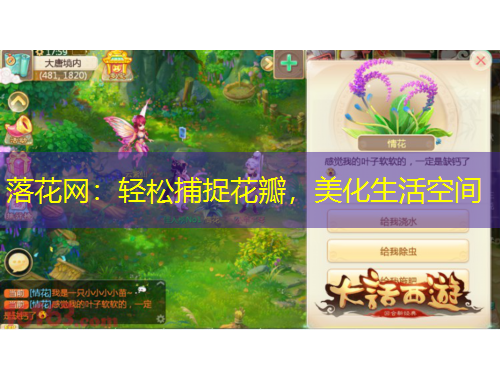 落花網(wǎng)：輕松捕捉花瓣，美化生活空間