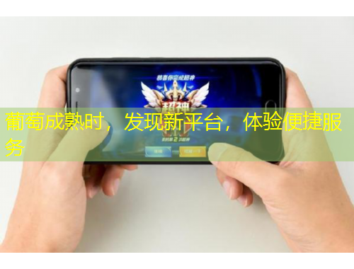 葡萄成熟時，發(fā)現(xiàn)新平臺，體驗便捷服務(wù)