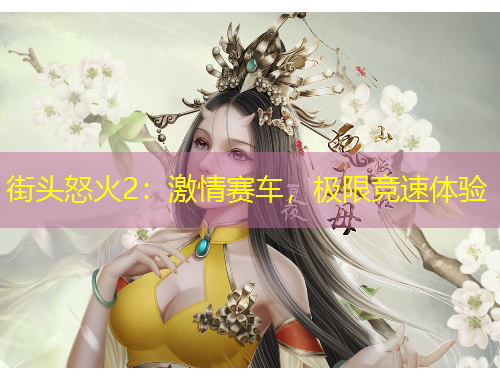 街頭怒火2：激情賽車，極限競(jìng)速體驗(yàn)