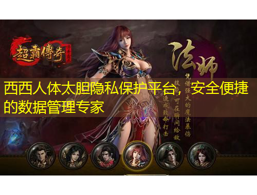 西西人體太膽隱私保護平臺，安全便捷的數(shù)據(jù)管理專家