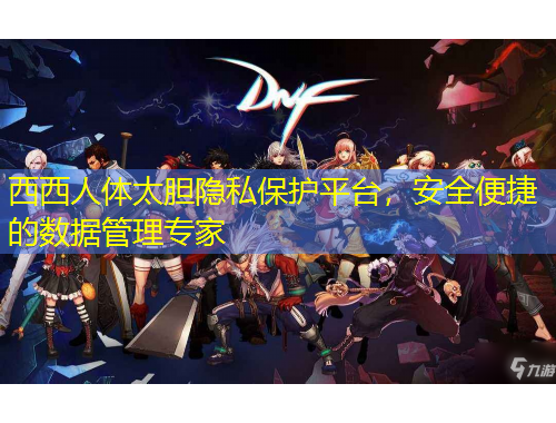 西西人體太膽隱私保護平臺，安全便捷的數(shù)據(jù)管理專家