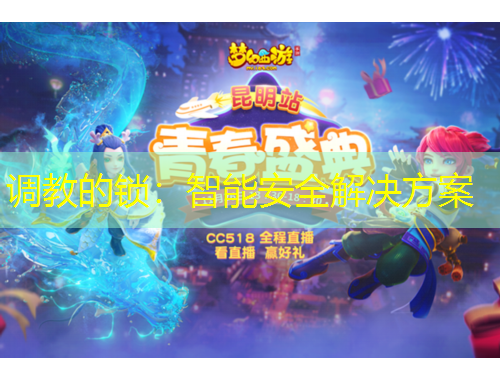 調(diào)教的鎖：智能安全解決方案