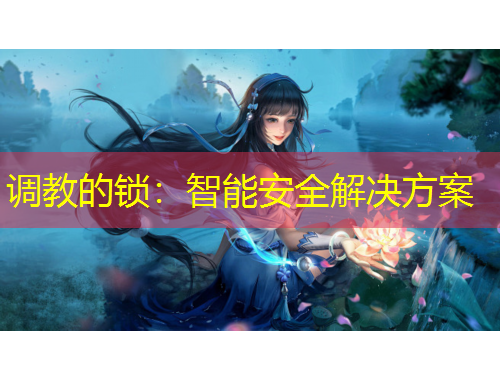 調(diào)教的鎖：智能安全解決方案