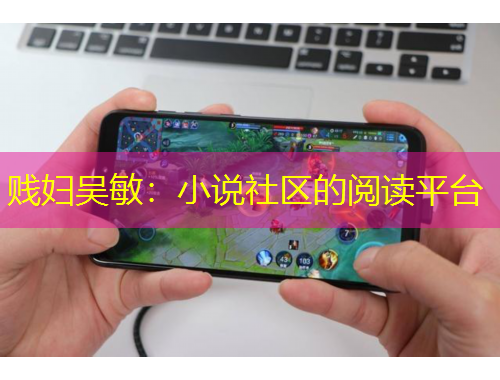 賤婦吳敏：小說(shuō)社區(qū)的閱讀平臺(tái)