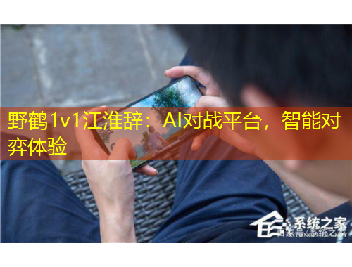 野鶴1v1江淮辭：AI對戰(zhàn)平臺，智能對弈體驗