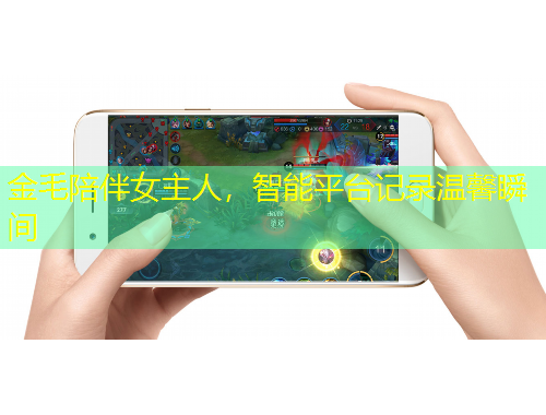 金毛陪伴女主人，智能平臺(tái)記錄溫馨瞬間