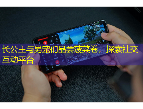 長公主與男寵們品嘗菠菜卷，探索社交互動平臺