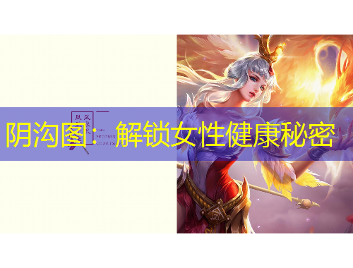 陰溝圖：解鎖女性健康秘密