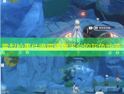 雪梨槍事件揭露直播平臺的灰色地帶