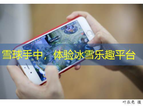雪球手中，體驗(yàn)冰雪樂(lè)趣平臺(tái)