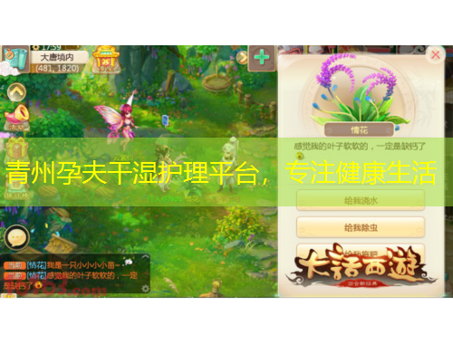 青州孕夫干濕護(hù)理平臺(tái)，專注健康生活