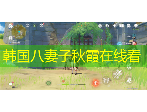 韓國八妻子秋霞在線看