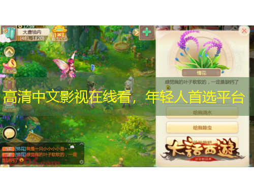 高清中文影視在線看，年輕人首選平臺